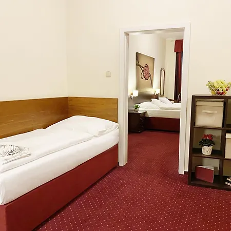 Pensión U Salzmannu 4*