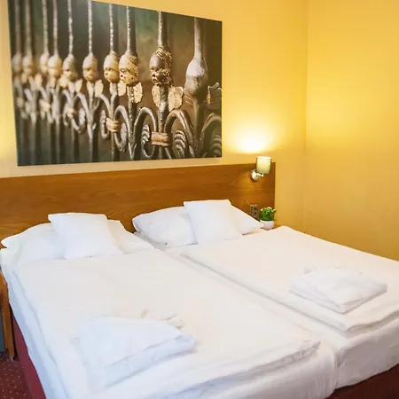 Pensión U Salzmannu 4*