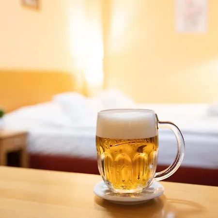 U Salzmannu Pensión Plzeň