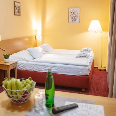 U Salzmannu Pensjonat