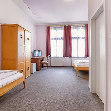 Guest house Hotel U Salzmannu Plzen