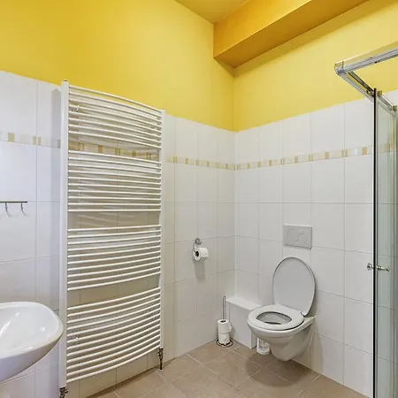 Guest house Hotel U Salzmannu Plzen