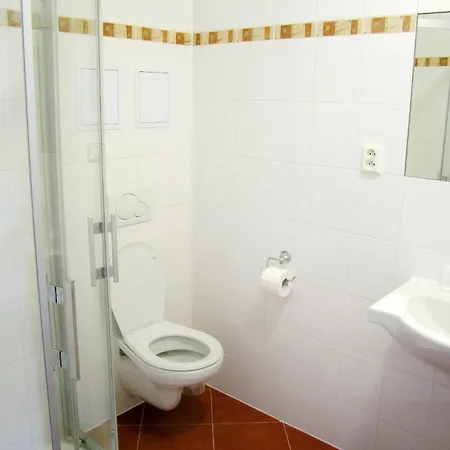 Hotel U Salzmannu 3* Plzen