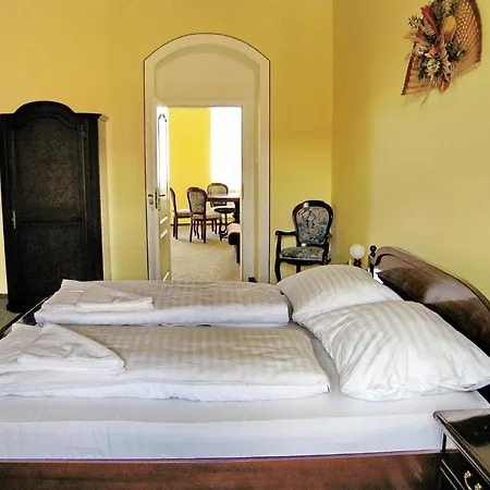 Guest house Hotel U Salzmannu