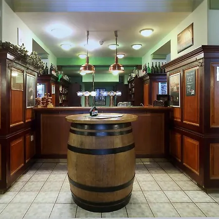 Hotel U Salzmannu 3* Plzen