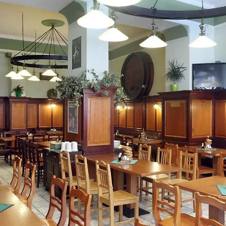 Guest house Hotel U Salzmannu