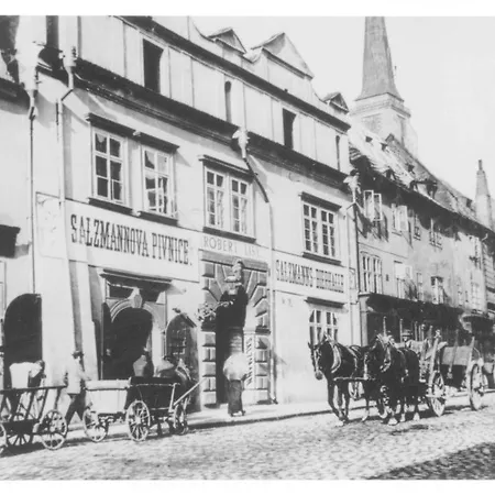 Guest house Hotel U Salzmannu