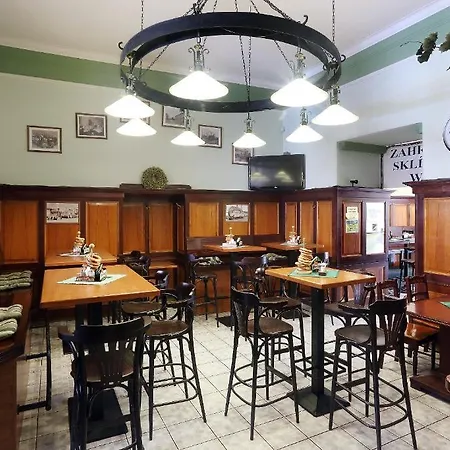 Hotel U Salzmannu Guest house Plzen