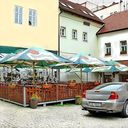 Hotel U Salzmannu Guest house