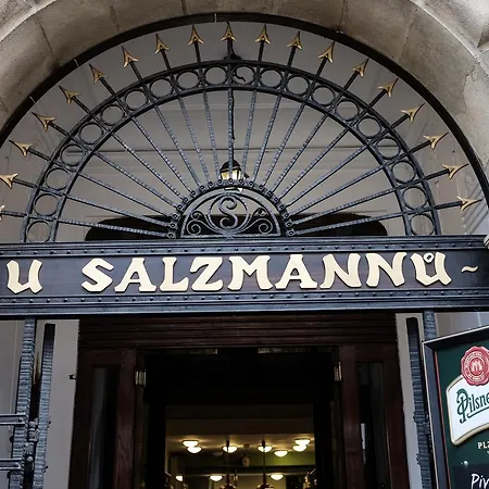 Guest house Hotel U Salzmannu
