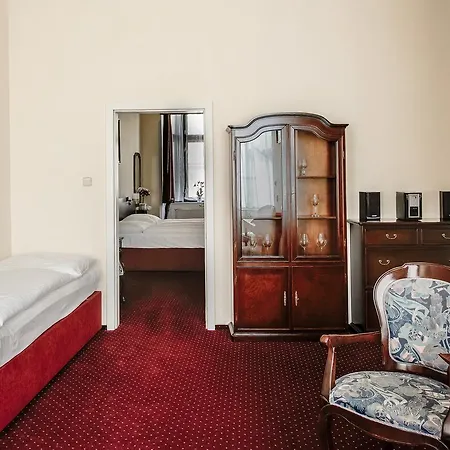 Hotel U Salzmannu 3*