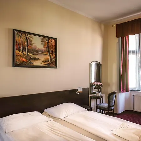 Hotel U Salzmannu 3* Plzen