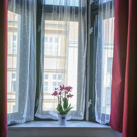 Hotel U Salzmannu