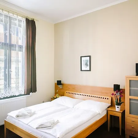 Hotel U Salzmannu 3* Plzen