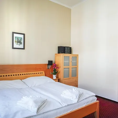 Hotel U Salzmannu 3*