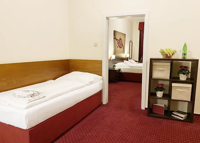 Pensión U Salzmannu 4*