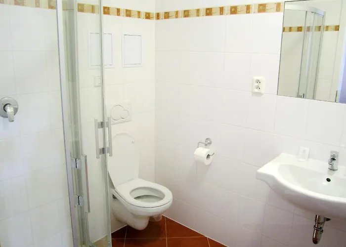 U Salzmannů 4* Pilsen