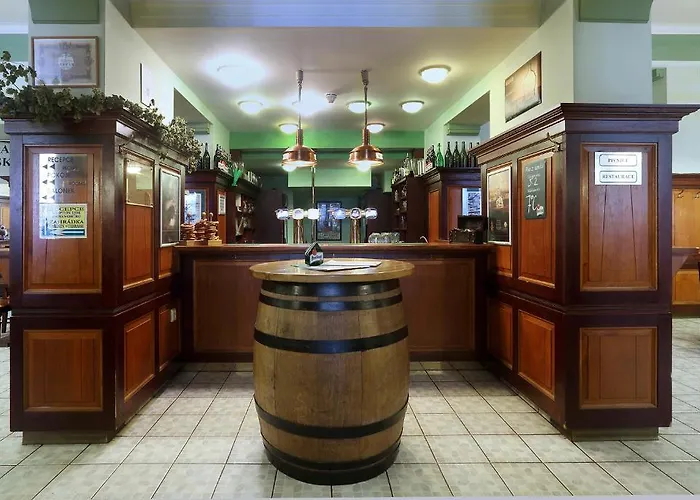 Hotel U Salzmannu 4* Plzen
