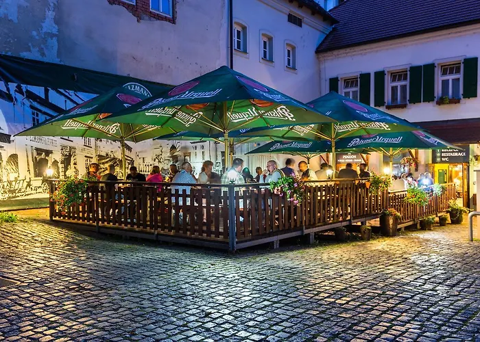 Hotel U Salzmannu