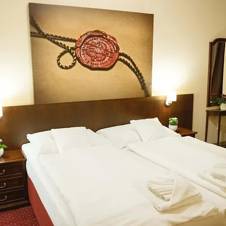 U Salzmannu Pensionat Plzeň