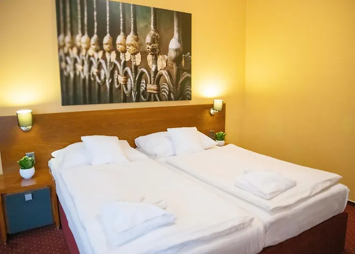 Casa de hóspedes U Salzmannu 4*
