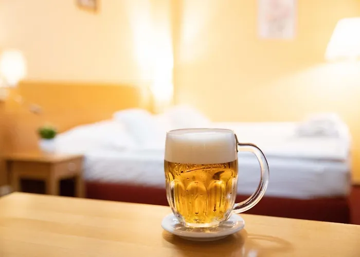 U Salzmannu Casa de hóspedes Plzeň