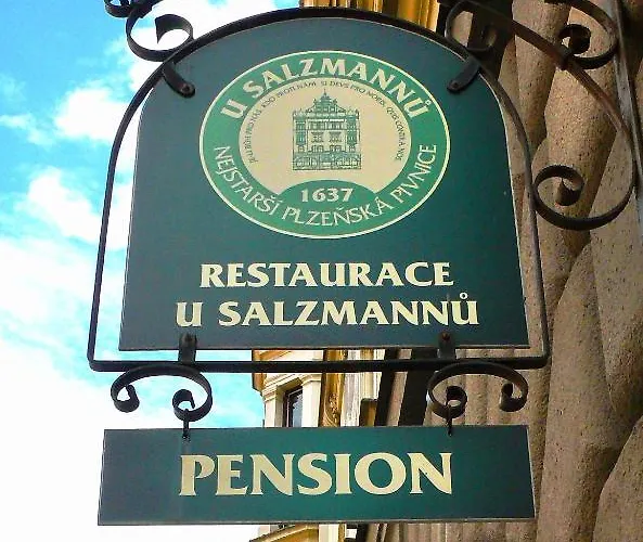Casa de hóspedes U Salzmannu 4*